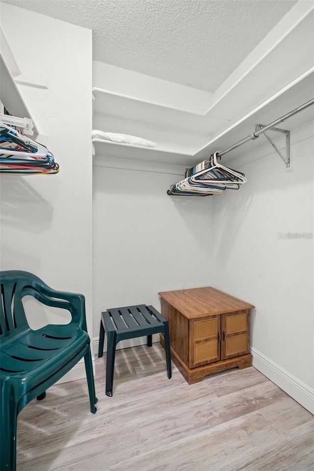 walk in closet featuring wood finished floors