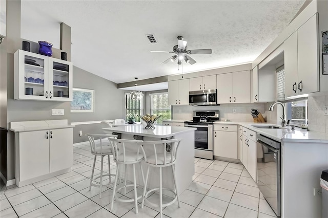 3943 W Fieldwood Ct, Lecanto, FL 34461 - kitchen featuring stainless steel appliances, a sink, light countertops, and a ceiling fan