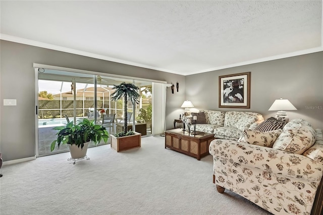 3943 W Fieldwood Ct, Lecanto, FL 34461 - carpeted living room featuring ornamental molding and a textured ceiling