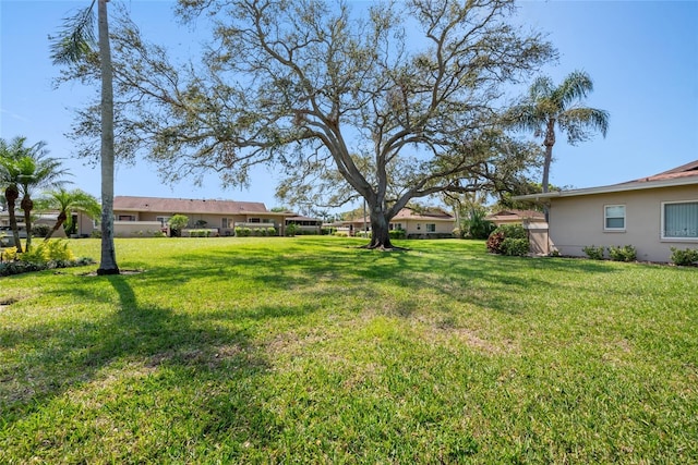 view of yard