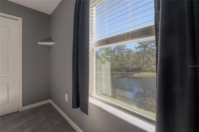 details with carpet, baseboards, and a water view