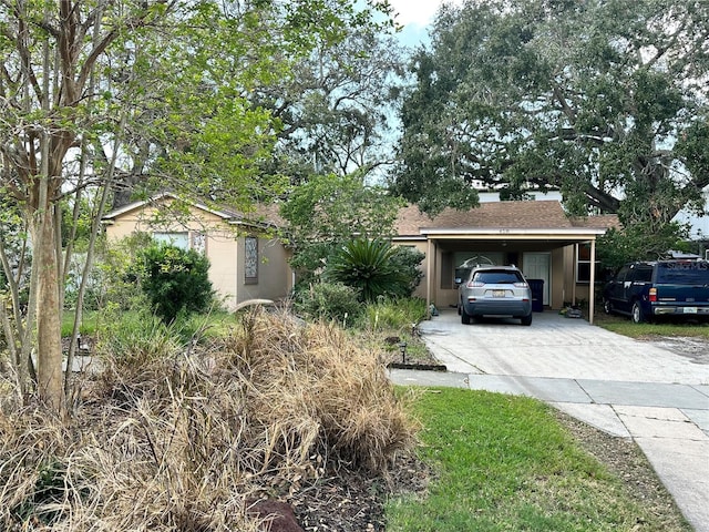 view of front of property featuring concrete driveway, a carport, and stucco siding