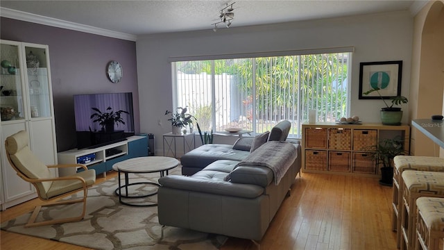 living room with hardwood / wood-style floors, ornamental molding, a healthy amount of sunlight, and a textured ceiling