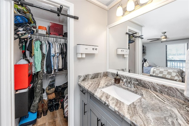 bathroom featuring a walk in closet, wood finished floors, vanity, and ceiling fan