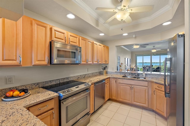 kitchen featuring ornamental molding, a sink, a tray ceiling, appliances with stainless steel finishes, and light stone countertops