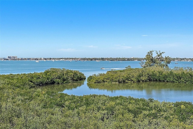 property view of water