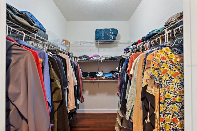4801 Osprey Dr S Unit 404, Saint Petersburg, FL 33711 - photo 24