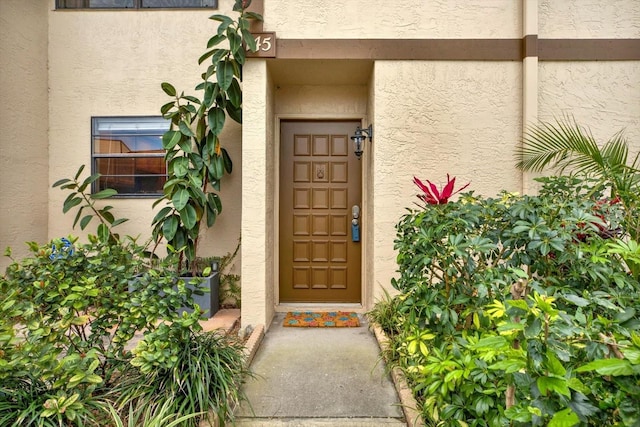 view of exterior entry featuring stucco siding