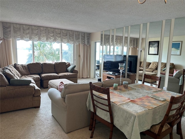 living area featuring carpet floors and a textured ceiling