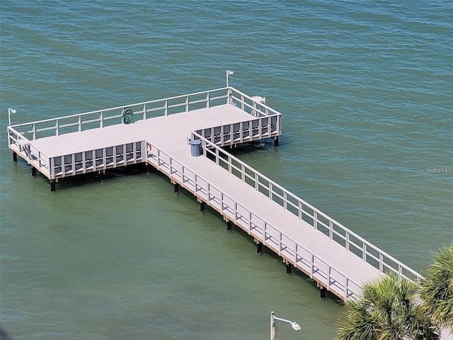 dock area with a water view