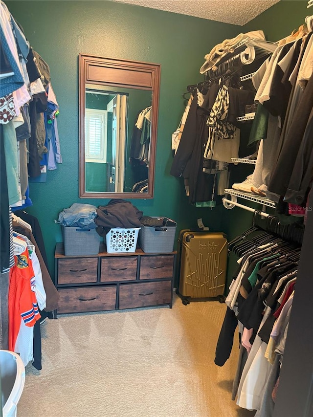 spacious closet with carpet floors