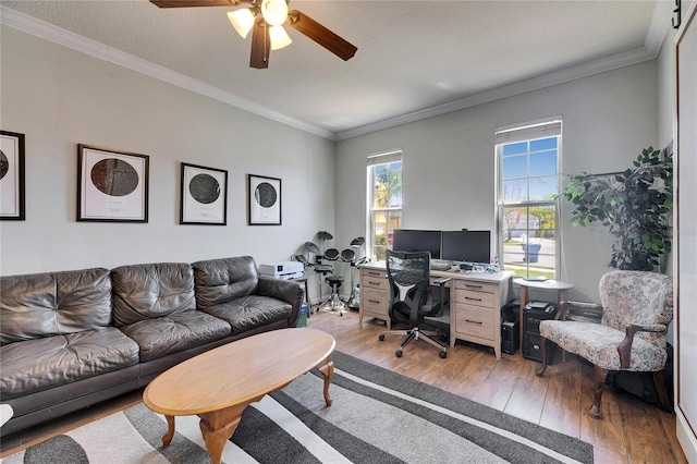 office area with crown molding, a ceiling fan, and light wood-type flooring