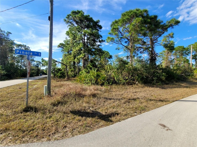 236 Pinola Ave S, Lehigh Acres FL, 33974 land for sale