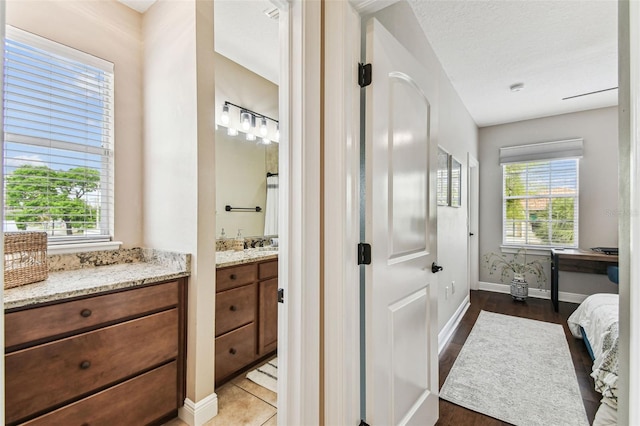 bathroom with baseboards, a healthy amount of sunlight, wood finished floors, and vanity