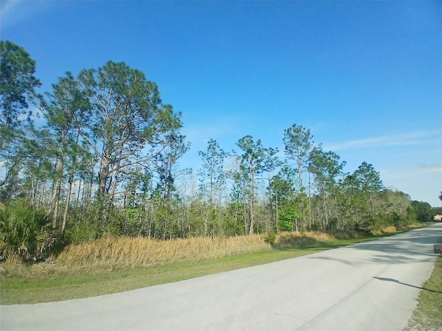 704 Hidden Palms Dr, Davenport, FL 33897