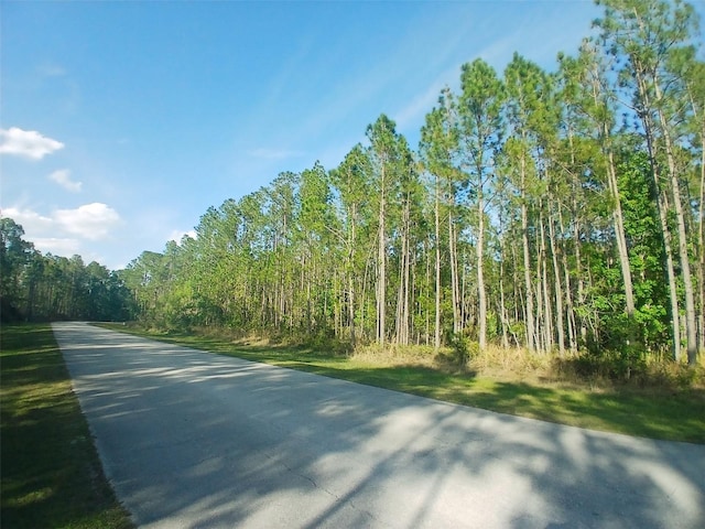704 Hidden Palms Dr, Davenport, FL 33897