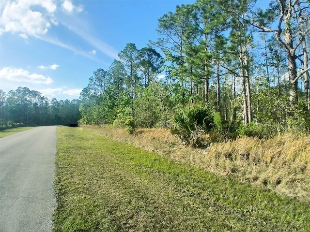 704 Hidden Palms Dr, Davenport, FL 33897
