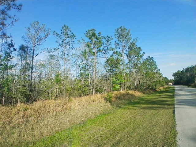 704 Hidden Palms Dr, Davenport, FL 33897