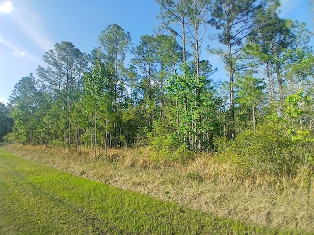 704 Hidden Palms Dr, Davenport, FL 33897