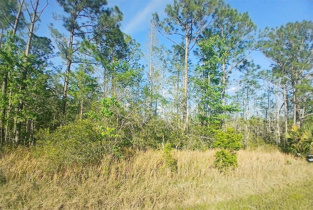 704 Hidden Palms Dr, Davenport, FL 33897