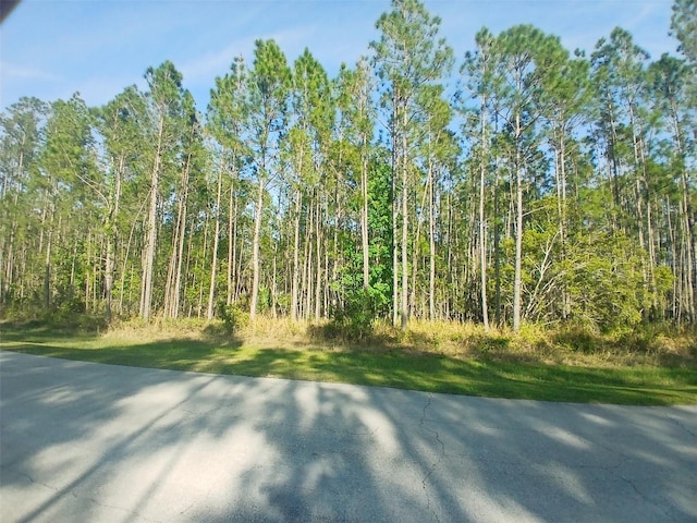 704 Hidden Palms Dr, Davenport, FL 33897