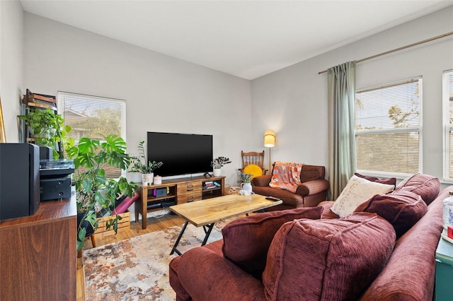 living area featuring wood finished floors