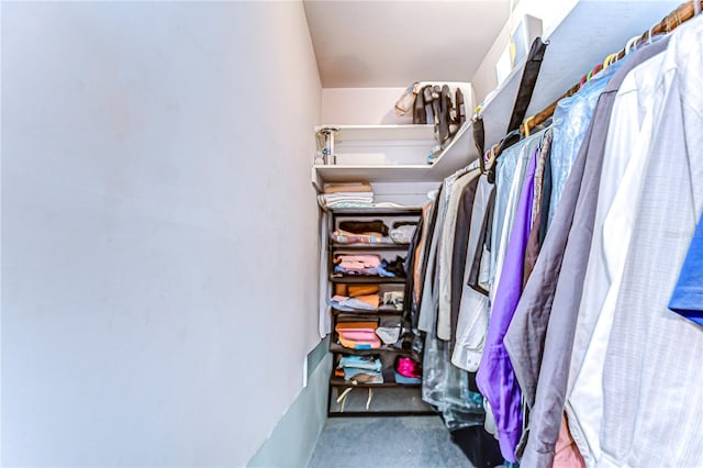 view of spacious closet