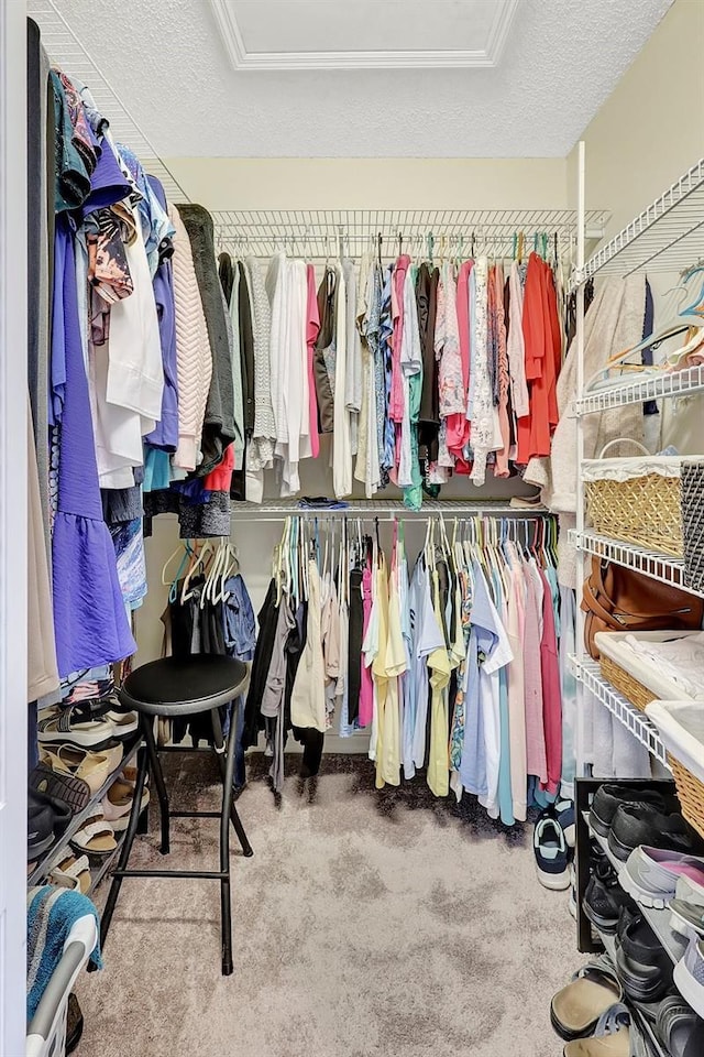 spacious closet featuring carpet