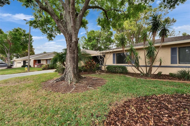 single story home with stucco siding and a front lawn