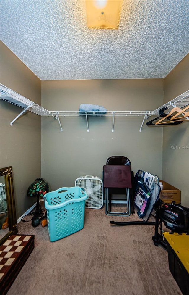 10603 1st St, Riverview, FL 33569 - photo 22