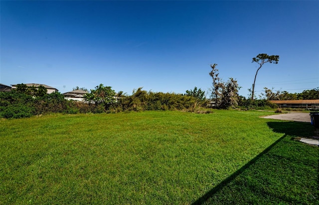 10603 1st St, Riverview, FL 33569 - photo 34