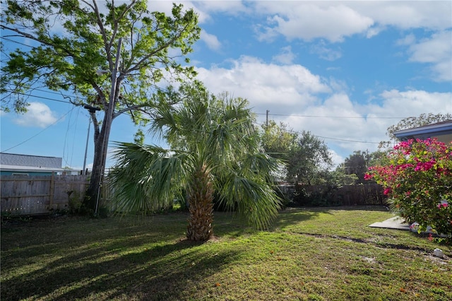 view of yard with a fenced backyard