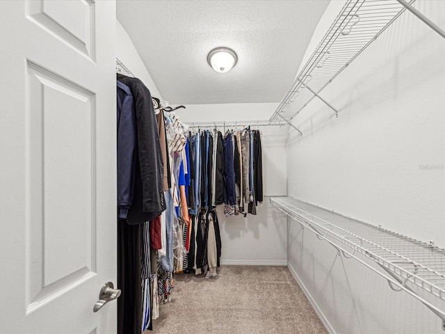 walk in closet with light carpet