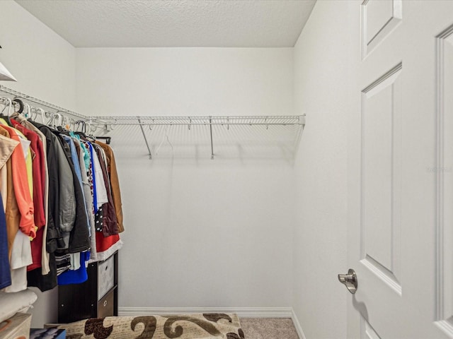 view of walk in closet