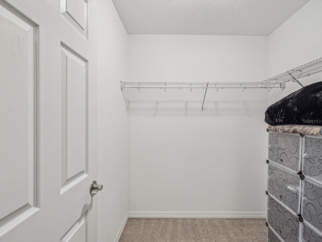 spacious closet with light colored carpet