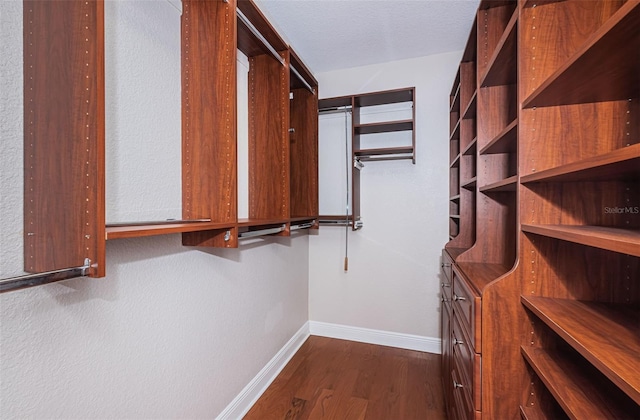 spacious closet featuring dark wood-type flooring