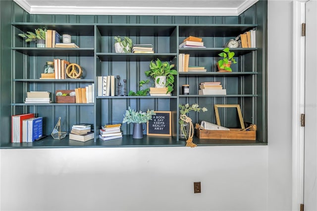 details with crown molding and built in shelves