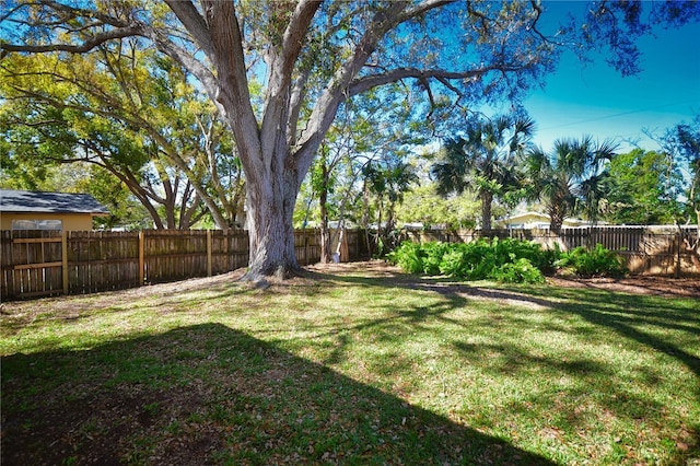 view of yard featuring a fenced backyard