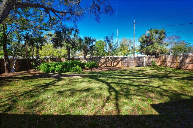 view of yard featuring a fenced backyard