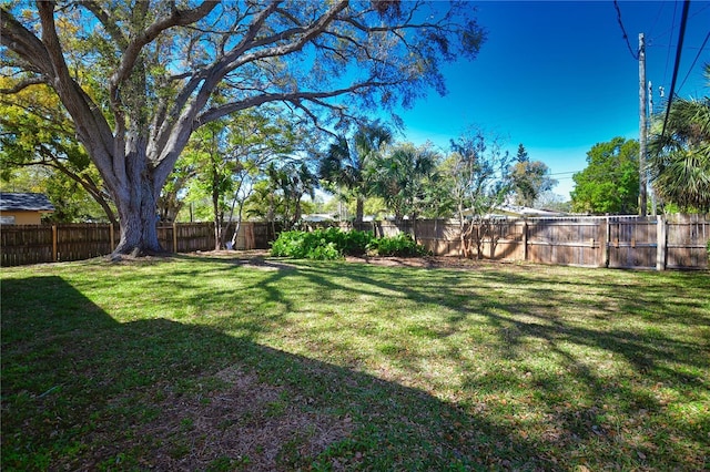 view of yard featuring a fenced backyard