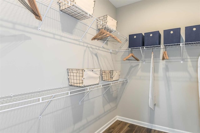 walk in closet featuring dark wood-style flooring