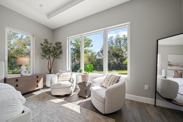 sitting room with plenty of natural light, baseboards, and wood finished floors