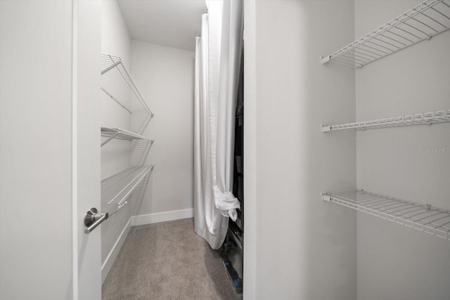 walk in closet featuring carpet floors