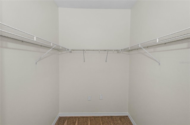 walk in closet with carpet flooring