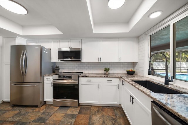 kitchen with a sink, a tray ceiling, appliances with stainless steel finishes, and decorative backsplash