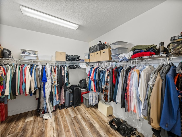 spacious closet featuring wood finished floors