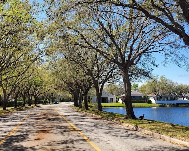 view of street with a water view