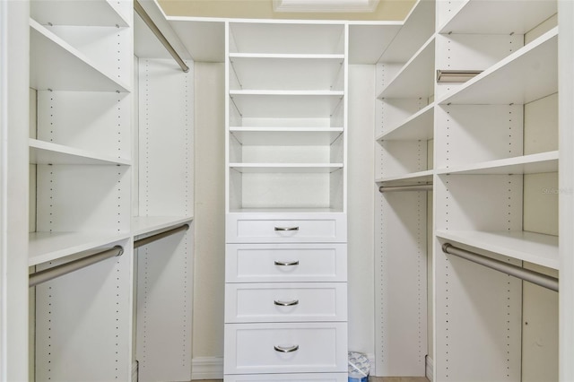 view of spacious closet