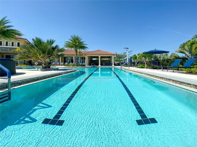 20405 Symphony Pl, Venice, FL 34293 - pool featuring a patio and fence