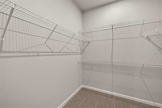 20405 Symphony Pl, Venice, FL 34293 - spacious closet with carpet floors
